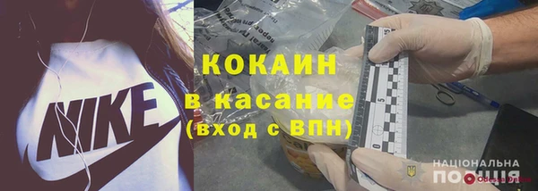 ПСИЛОЦИБИНОВЫЕ ГРИБЫ Болотное