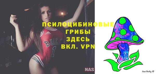 прущая мука Бородино