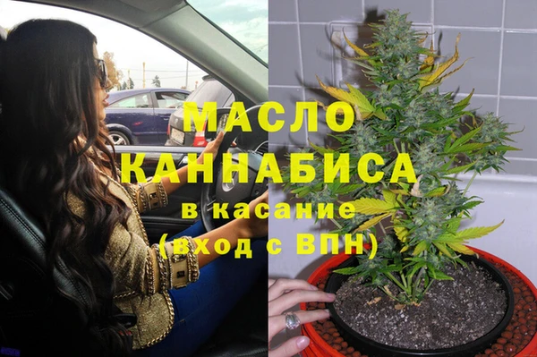 мдпв Верхний Тагил