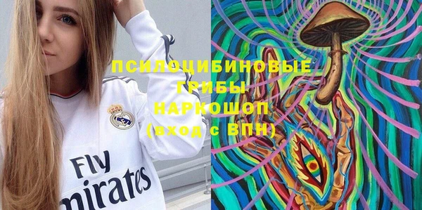 мдпв Верхний Тагил