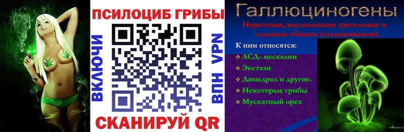 Псилоцибиновые грибы Psilocybe  хочу наркоту  Дагестанские Огни 